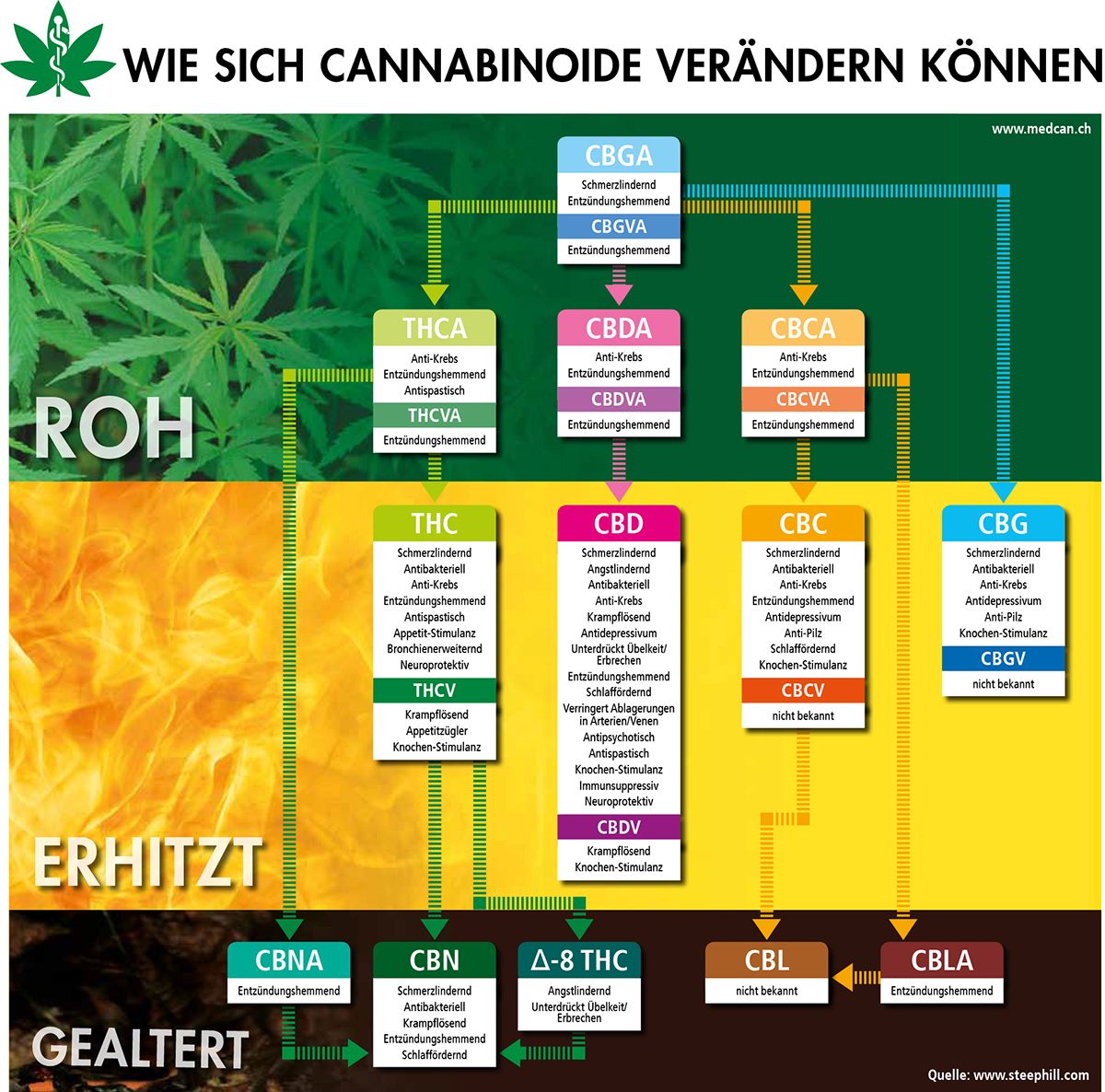 medcan_grafik_cannabinoide.jpg